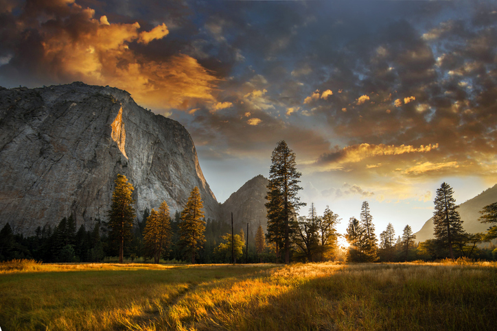 John Muir e il rapimento di Roosevelt: la nascita dello Yosemite National Park